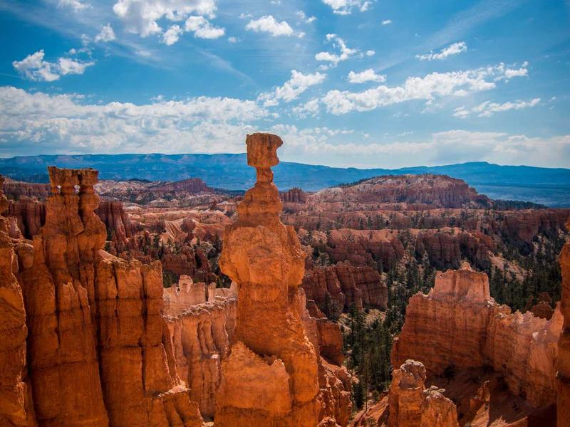 sudoku brain exercise screenshot 4