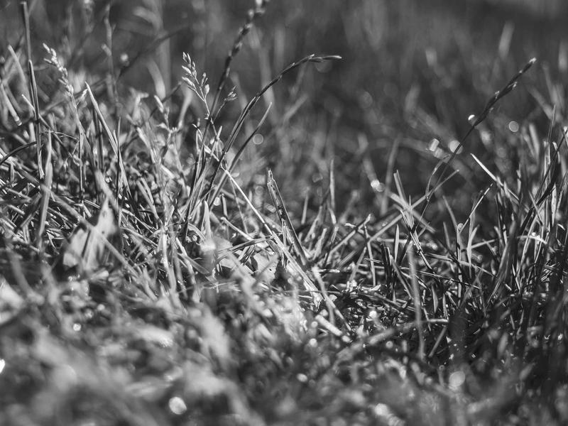 sudoku memory improvement screenshot 3